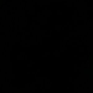 Meet your Posher, Priscilla