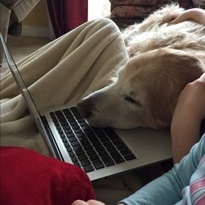 Meet your Posher, Christina