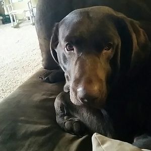 Meet your Posher, Julie