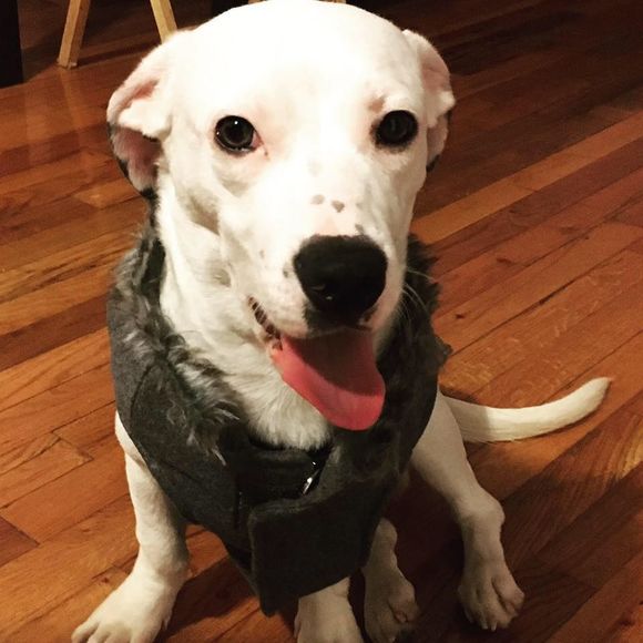 Meet your Posher, Diana - Picture 1 of 1