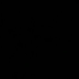 Meet your Posher, Rainey