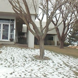 Meet your Posher, Lonise