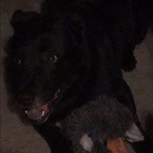 Meet your Posher, Alecia