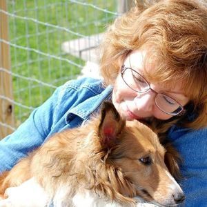 Meet your Posher, Dawn