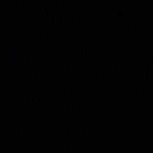 Meet your Posher, Angel