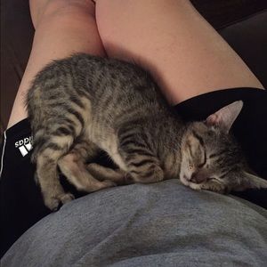 Meet your Posher, Jane