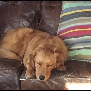 Meet your Posher, Kathleen