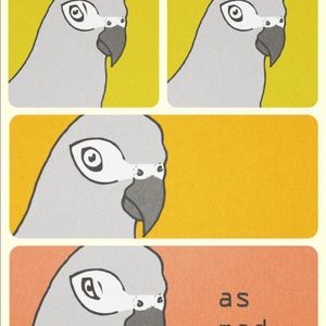 Meet your Posher, Aaron