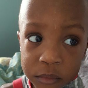 Meet your Posher, Damon