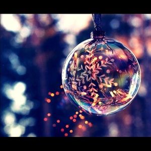 Meet your Posher, Cheyenne