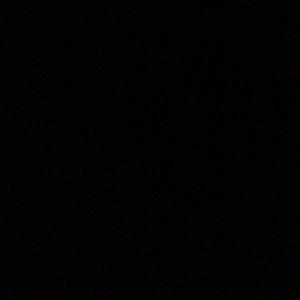 Meet your Posher, Tabitha