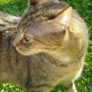 Meet your Posher, Ann