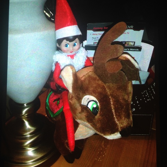 Meet your Posher, Alicia - Picture 1 of 1