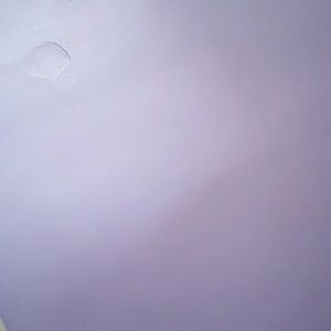 Meet your Posher, Edith