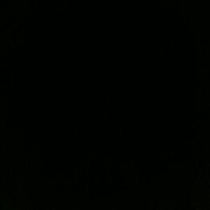 Meet your Posher, Kelsea