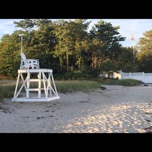 Meet your Posher, Molly