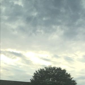 Meet your Posher, Pat