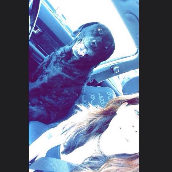 Meet your Posher, Taylor - Picture 1 of 1