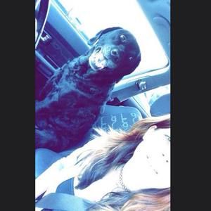 Meet your Posher, Taylor