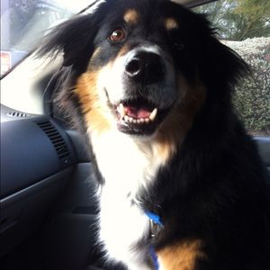 Meet your Posher, Renee