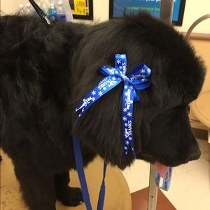 Meet your Posher, Paula