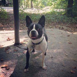 Meet your Posher, Shannon