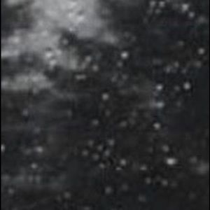 Meet your Posher, Gwen