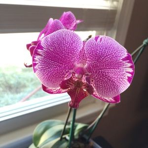 Meet your Posher, Hailey