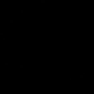 Meet your Posher, Maddie