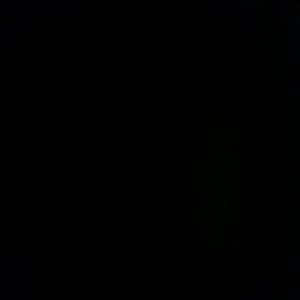 Meet your Posher, Briana