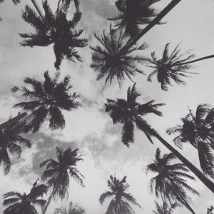 Meet your Posher, Daniela