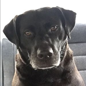 Meet your Posher, Lori