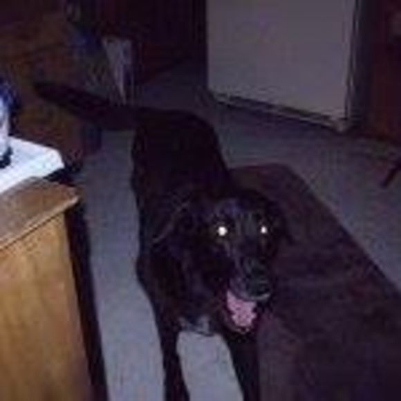 Meet your Posher, Cheryl - Picture 1 of 1