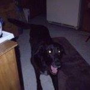 Meet your Posher, Cheryl