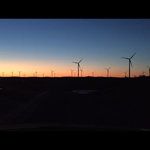 Meet your Posher, Roxanne - Picture 1 of 1