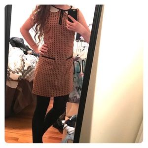 Peter Pan Collar Dress