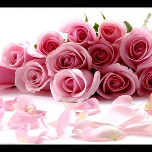 Meet your Posher, Hafiza