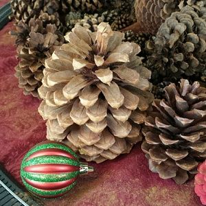 Meet your Posher, Charlene