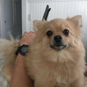 Meet your Posher, Debbie