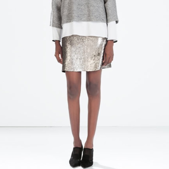 Zara skirt - Picture 1 of 4