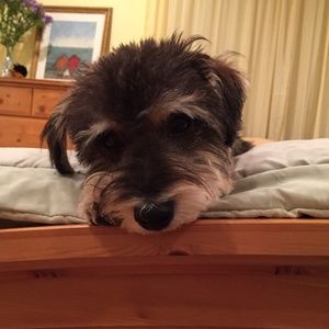 Meet your Posher, Jaimee