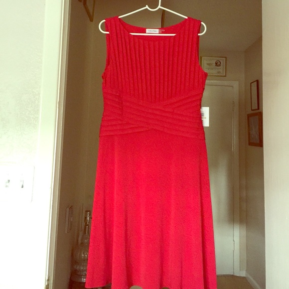 Calvin Klein dress 12