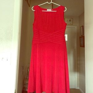 Calvin Klein dress 12