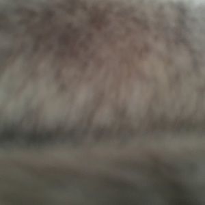 Meet your Posher, Bob