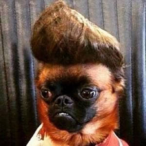 Meet your Posher, Eduardo