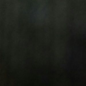 Meet your Posher, Vicky