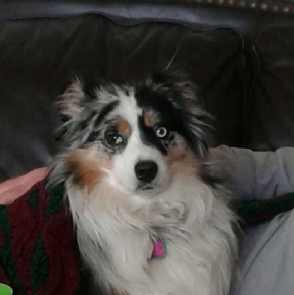 Meet your Posher, Angella - Picture 2 of 5