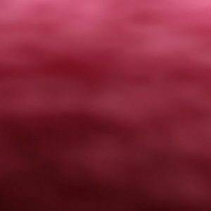 Meet your Posher, Jasmin