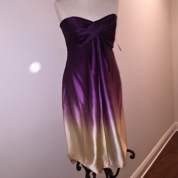 Nicole Miller silk Ombré dress