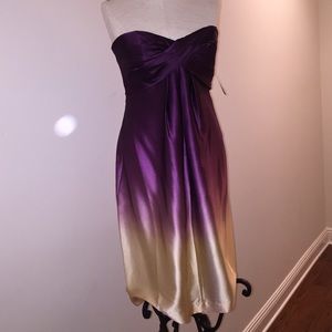 Nicole Miller silk Ombré dress